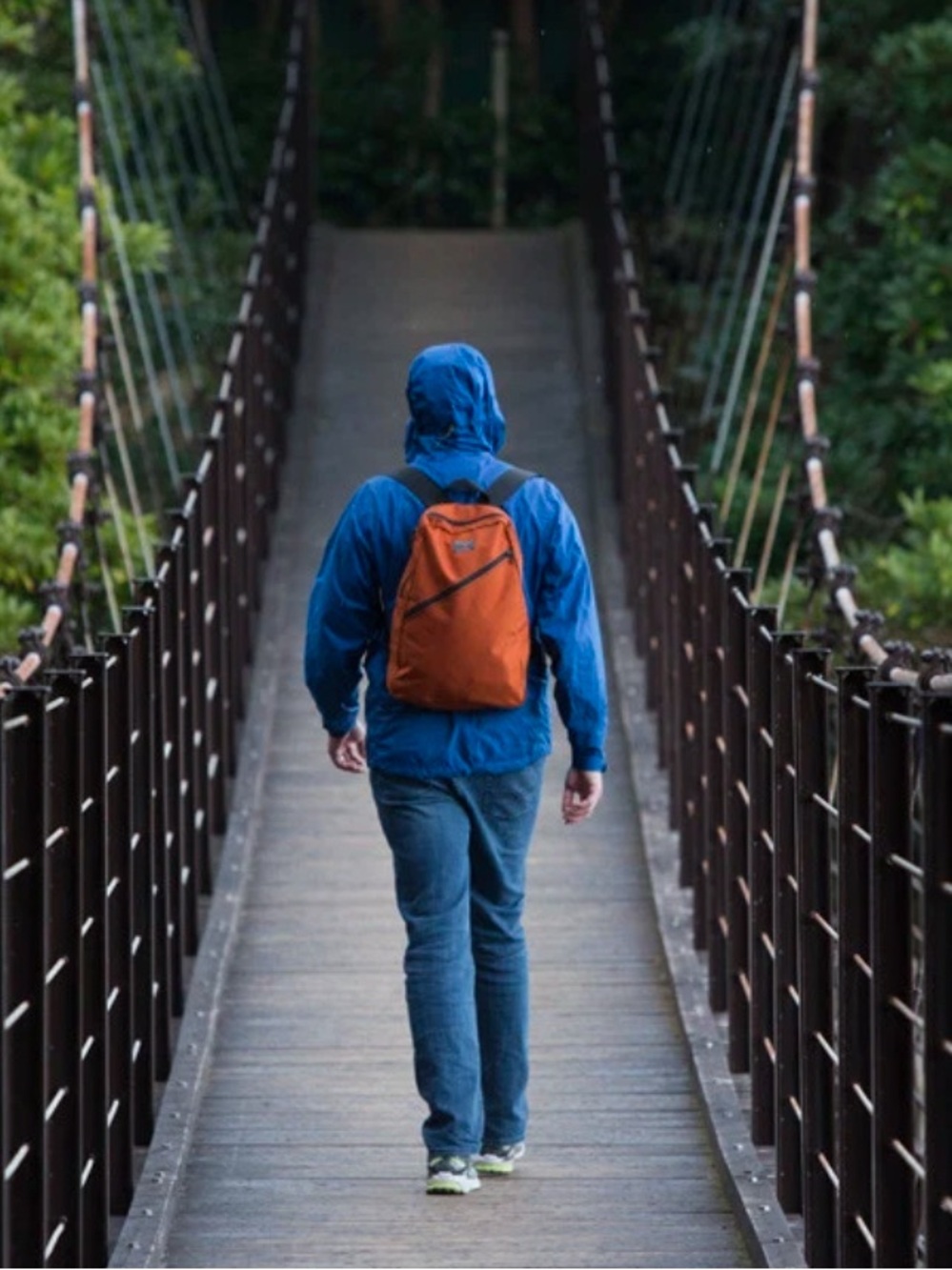 Tom Bihn daylight backpack